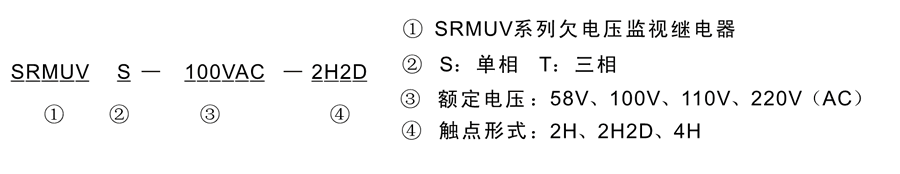 SRMUVT-100VAC-2H2D型号及其含义